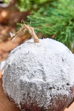 Decorator's Warehouse 4" Bark with Snow Ball Ornament > Christmas Ornaments|Winter Woodland