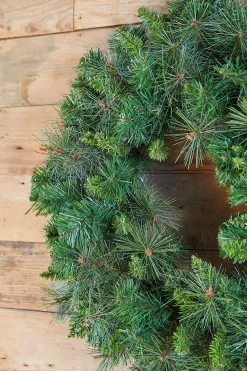 Decorator's Warehouse 30" Belgium Unlit Wreath > Christmas Decor|Outdoor Lighting