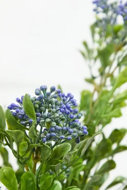 Decorator's Warehouse 17" Boxwood Berry Bush x9 > Spring Greenery|Christmas Decor