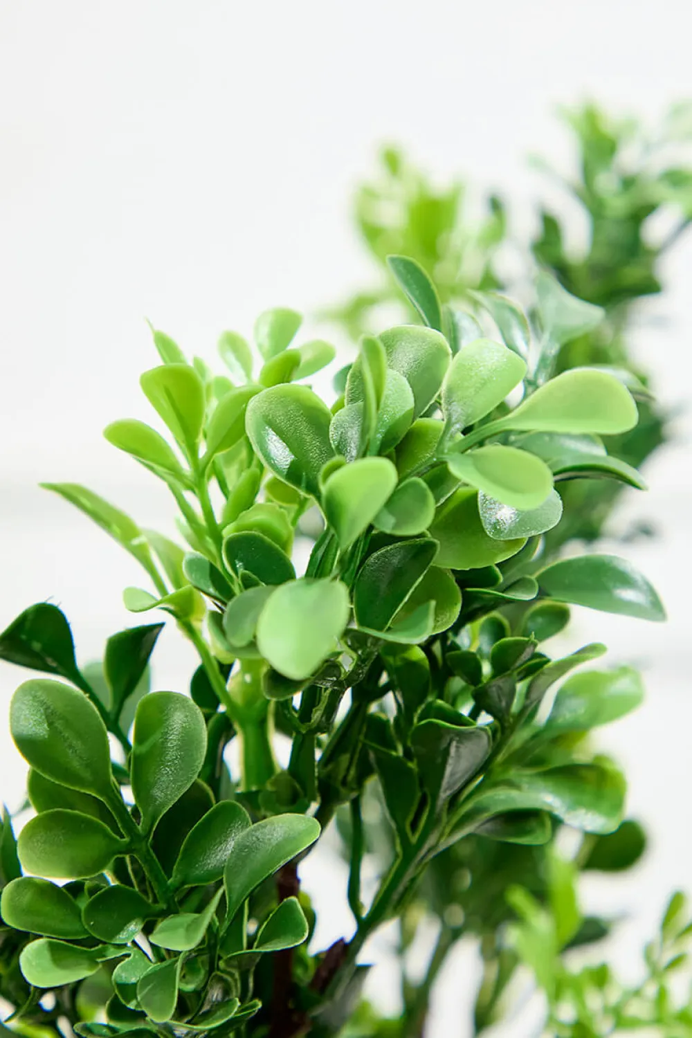 Decorator's Warehouse 32" Boxwood Spray > Spring Greenery|Christmas Decor