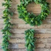 Decorator's Warehouse 36" Bristle Pine With Natural Touch Evergreen Wreath > Cardinal|36"
