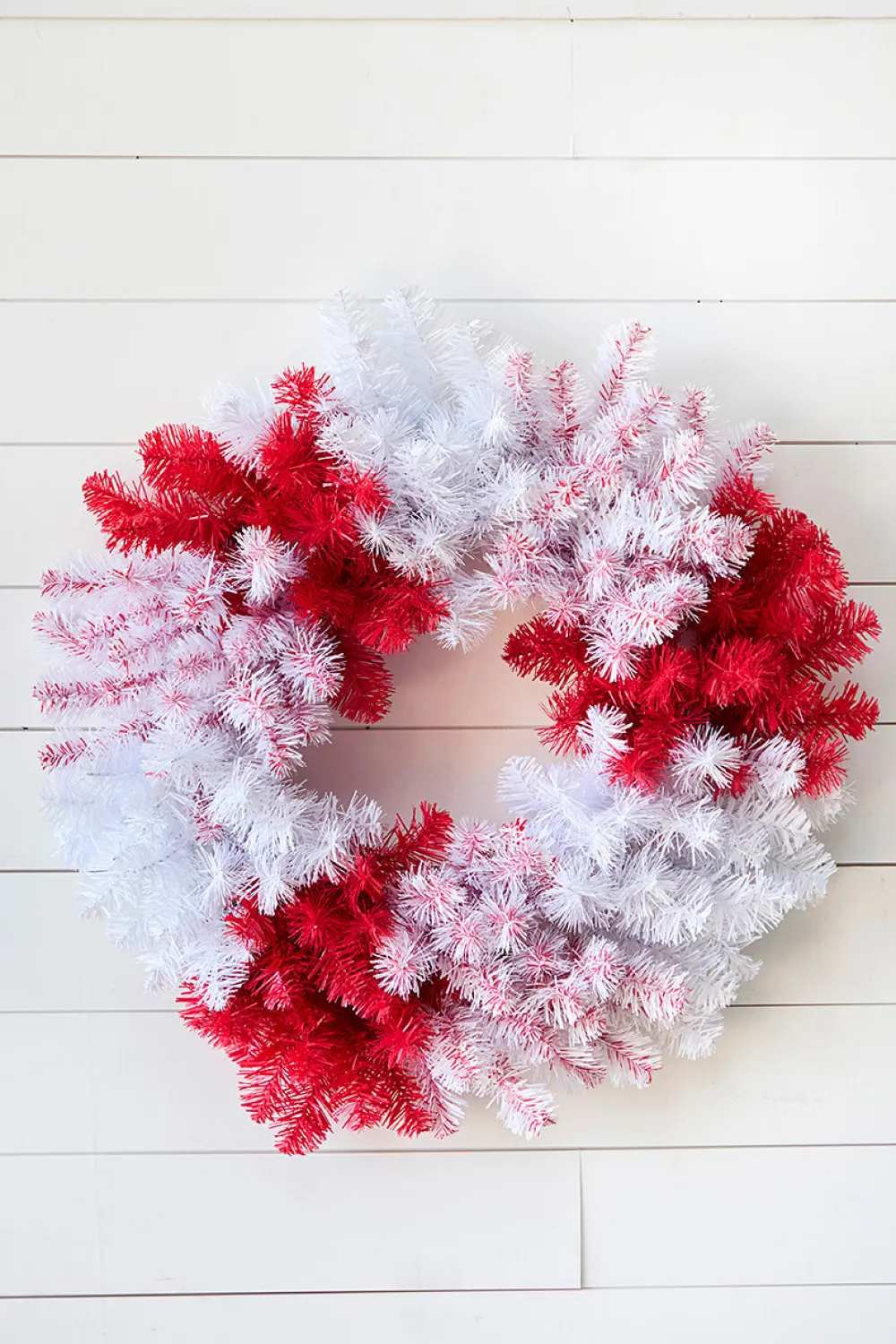 Decorator's Warehouse 30" Caprico Red/White Wreath > Christmas Decor|All Wreaths