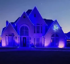 Decorator's Warehouse Case - Blue C9 Wonderful Faceted (500pcs) > C9 Bulbs|Christmas Decor
