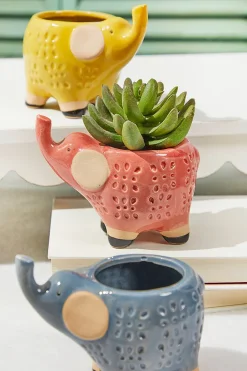 Decorator's Warehouse 5