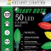 Decorator's Warehouse C9 Faceted Multi 50 LED Light Set > Christmas Tree Lights