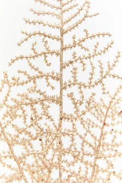 Decorator's Warehouse 35" Champagne Glitter Fern Spray > Classic Christmas|Christmas Sale