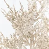 Decorator's Warehouse 20" Champagne Juniper Spray > Christmas Sprays|Christmas Decor
