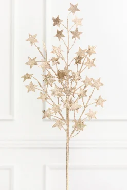 Decorator's Warehouse 31" Champagne Star Spray > Sugar & Spice|Christmas Sprays