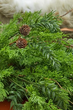 Decorator's Warehouse 32” Christmas Cedar/Hemlock Swag > Cardinal|Natural Greenery