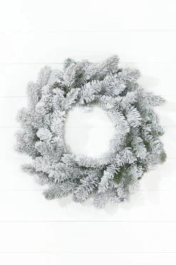 Decorator's Warehouse 24" Classic Flocked Wreath > Christmas Decor|All Wreaths