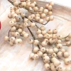 Decorator's Warehouse 29” Crabapple Spray - Griege > Christmas Sprays|Christmas Decor