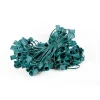 Decorator's Warehouse C9 Socket Cord - 100' 12" Spacing > Outdoor Lighting|Accessories
