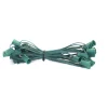 Decorator's Warehouse C7 Socket Cord - 100' 6" Spacing > Outdoor Lighting|Accessories