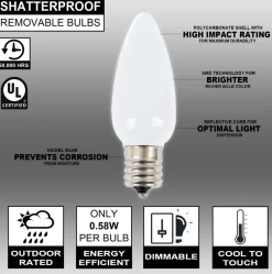 Decorator's Warehouse C9 Wonderful LED SMD Bulb (25 bulbs/bag) - Frosted, Pure White > Vintage Christmas Lights|C9 Bulbs