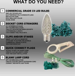 Decorator's Warehouse C9 Wonderful LED SMD Bulb (25 bulbs/bag) - Faceted, Orange > C9 Bulbs|Christmas Decor