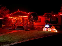 Decorator's Warehouse C9 Wonderful LED SMD Bulb (25 bulbs/bag) - Faceted, Orange > C9 Bulbs|Christmas Decor