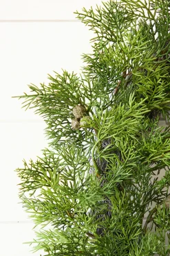 Decorator's Warehouse 18" Cypress Berry Wreath > All Wreaths|Valentine'S Day