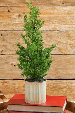 Decorator's Warehouse 18" Cypress Tree in Tin Pot > Cardinal|Tabletop & Accent Trees