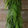 Decorator's Warehouse 48” Cyprus/ Norfolk Pine Garland > Real Touch Garlands|Cardinal