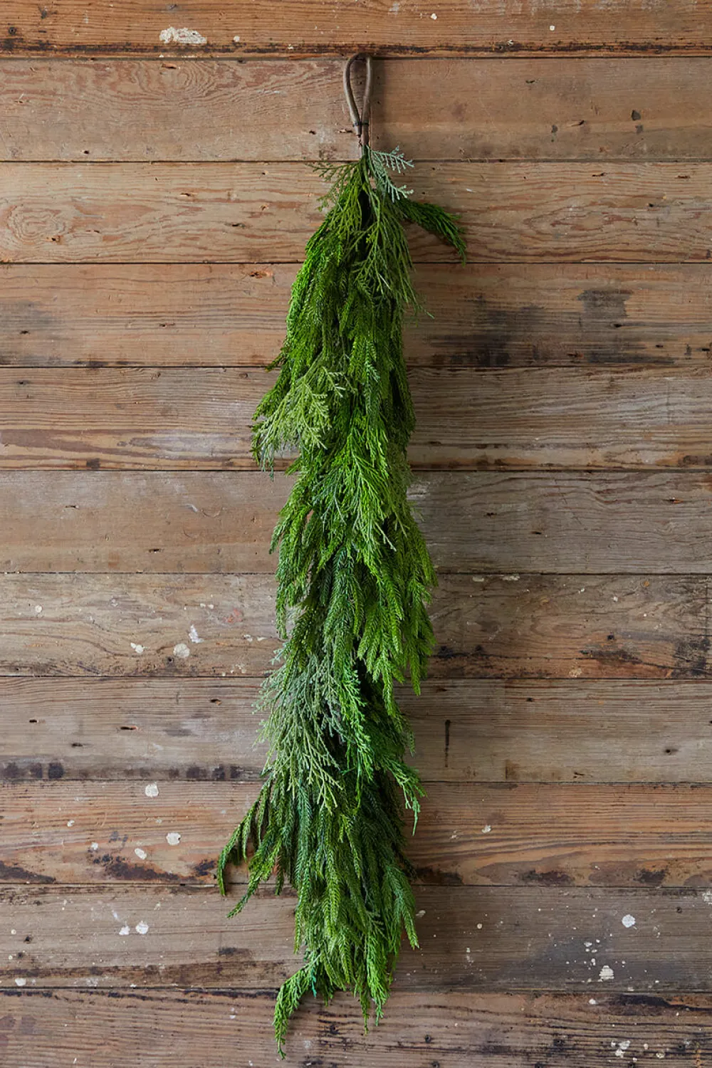 Decorator's Warehouse 48” Cyprus/ Norfolk Pine Garland > Real Touch Garlands|Cardinal