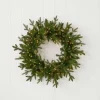 Decorator's Warehouse 24" Dandan Green Plug-In Wreath with Warm White LED Lights > Under 30"|Pre-Lit Wreaths
