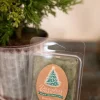 Decorator's Warehouse Piney Woods Wax Melt > Fun Gifts|Christmas Decor