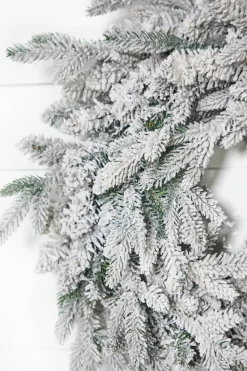 Decorator's Warehouse 24" Deluxe Flocked Wreath > Christmas Decor|All Wreaths