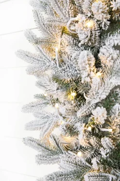 Decorator's Warehouse 36" Deluxe Flocked Wreath With Warm White LED Lights > 36"|Christmas Decor