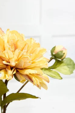 Decorator's Warehouse 21" Dried Dahlia with Bud Stem > Christmas Decor|Spring Florals