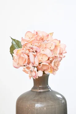 Decorator's Warehouse 22" Dried Grand Hydrangea Stem - Pink > Christmas Decor|Valentine'S Decor