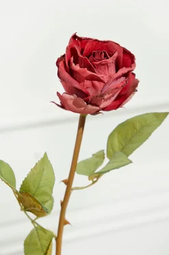 Decorator's Warehouse 21" Dried Red Rose Stem > Christmas Decor|Valentine'S Decor
