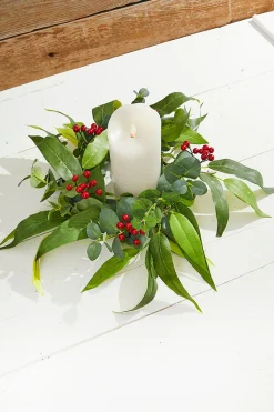 Decorator's Warehouse 6.5" Eucalyptus & Berry Ring > Cardinal|Christmas Accents