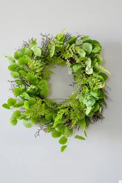 Decorator's Warehouse 22" Eucalyptus Fern Wreath > Christmas Decor|All Wreaths