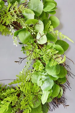 Decorator's Warehouse 22" Eucalyptus Fern Wreath > Christmas Decor|All Wreaths