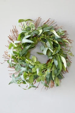 Decorator's Warehouse 22" Eucalyptus Wreath > Christmas Decor|All Wreaths