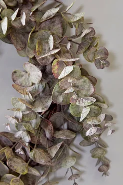 Decorator's Warehouse 24" Eucalyptus Wreath > Christmas Decor|All Wreaths