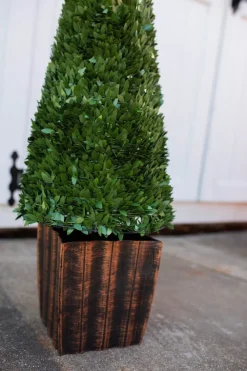 Decorator's Warehouse 3.5' Faux Boxwood Trees - Set of 2 > Christmas Decor|Spring Decor