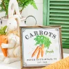 Decorator's Warehouse 10" Fresh Carrot Peter Rabbit Sign > Easter Table Decor|Easter Decor