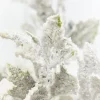 Decorator's Warehouse 19" Frosted Holly Bush > White Christmas|2026 New Additions