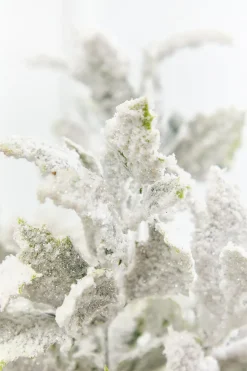 Decorator's Warehouse 19" Frosted Holly Bush > White Christmas|2026 New Additions