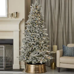Decorator's Warehouse 6' Frosted Palmetto LED Pine Tree > Christmas Decor|Flocked Or White