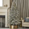 Decorator's Warehouse 7' Frosted Palmetto Pine LED Tree > Christmas Decor|Flocked Or White