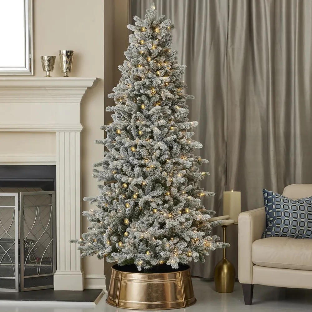 Decorator's Warehouse 7' Frosted Palmetto Pine LED Tree > Christmas Decor|Flocked Or White
