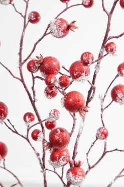 Decorator's Warehouse 38” Gilded Frosted Crabapple Spray - Red > Nutcracker|Classic Christmas