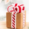 Decorator's Warehouse 6" Gingerbread Gift Box Ornament > Gingerbread