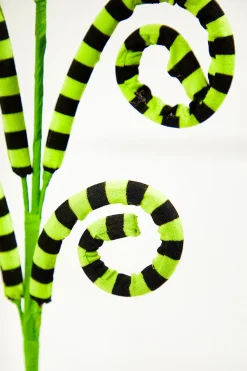Decorator's Warehouse 26" Green and Black Striped Curly Spray > Halloween|Halloween