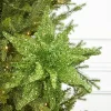 Decorator's Warehouse 22" Green Sequin Glitter Poinsettia Stem > Traditional|Storyville