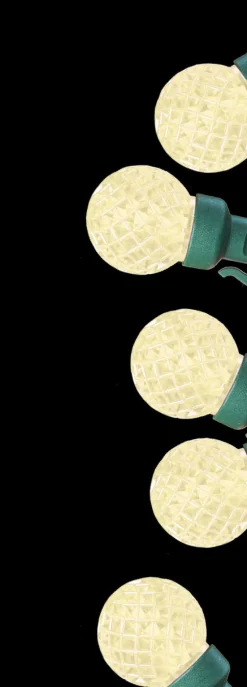 Decorator's Warehouse G30 Warm White 50 LED Light Set > Outdoor Lighting|Light Strands