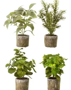 Decorator's Warehouse 9” Herb in a Pot - Rosemary > Christmas Decor|Spring Florals