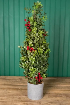 Decorator's Warehouse 20” Holiday Potted Boxwood Tree W/ Berry > Tabletop & Accent Trees|Christmas Accents